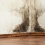 Water Damage Cleanup Companies in Hickory, North Carolina