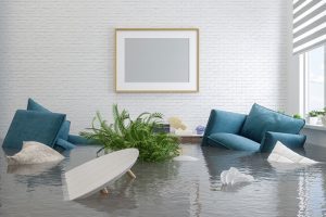 Water Damage Cleanup Companies: What to Look for Before Hiring
